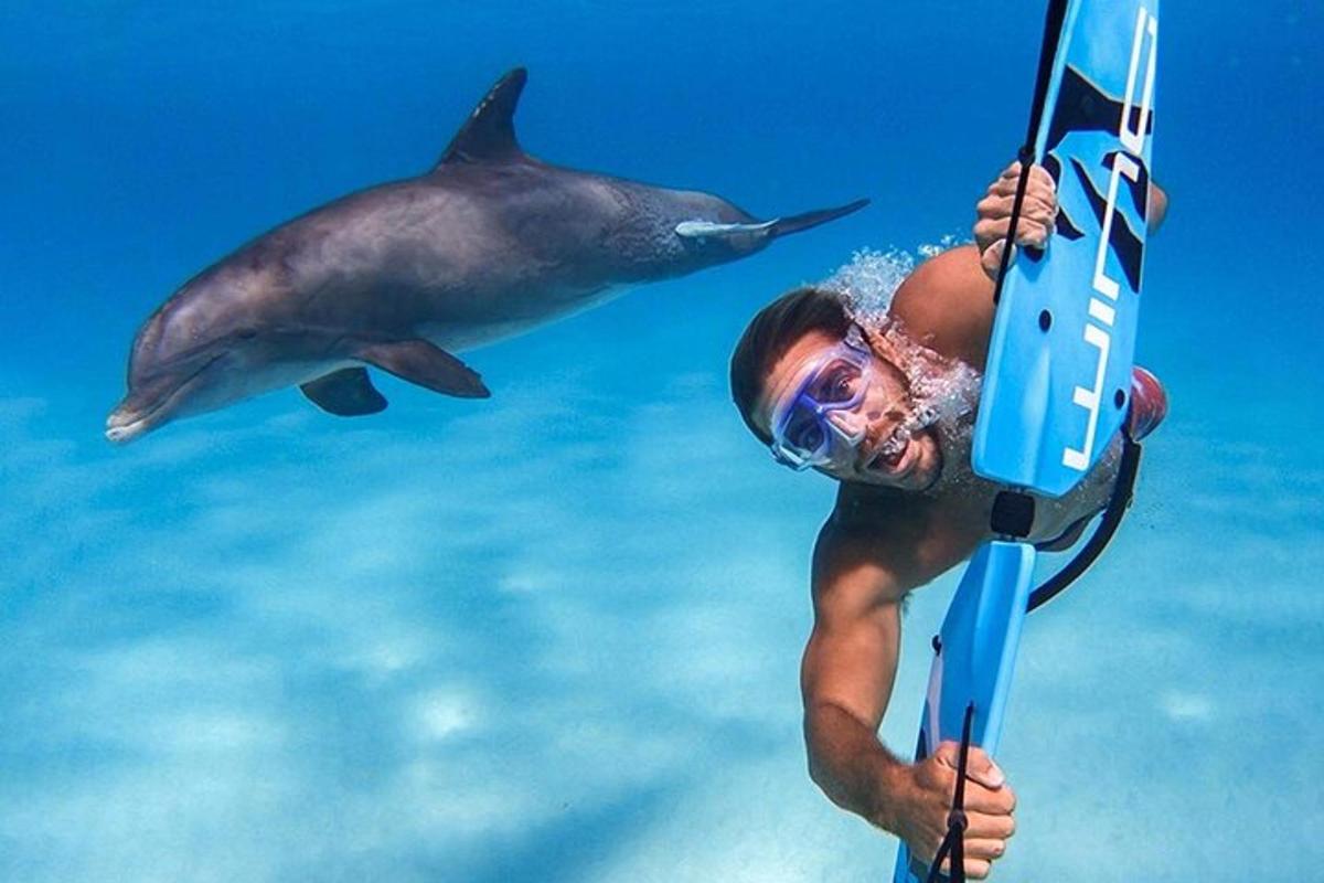 un uomo che tiene in mano un cellulare davanti a un delfino