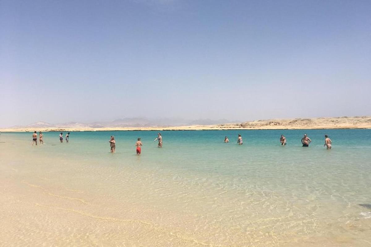 Un grupo de personas de pie en el agua en una playa.
