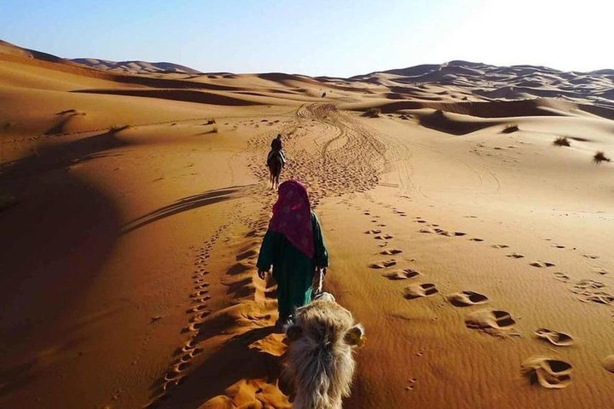 una persona che cammina nel deserto con un cane