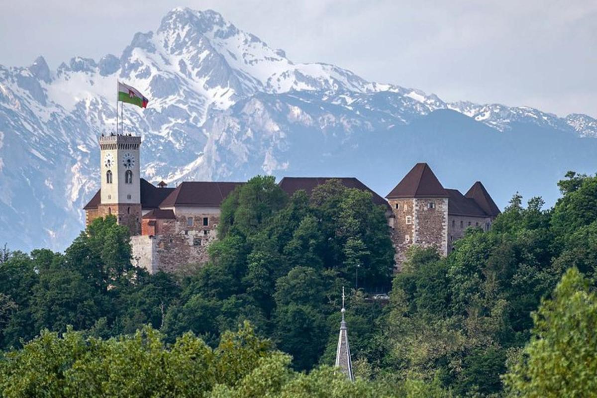 un castel cu un steag pe vârful unui munte