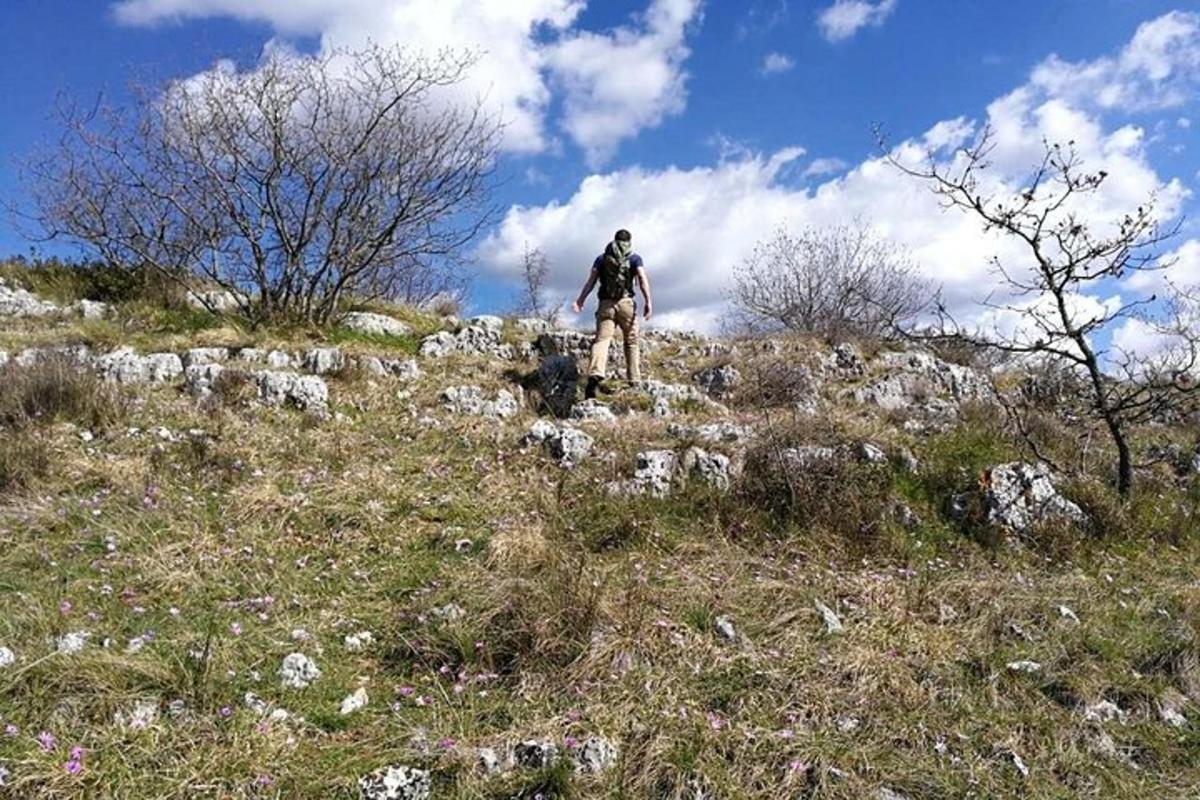 Ένας άντρας που στέκεται στην κορυφή ενός λόφου με ένα σκύλο