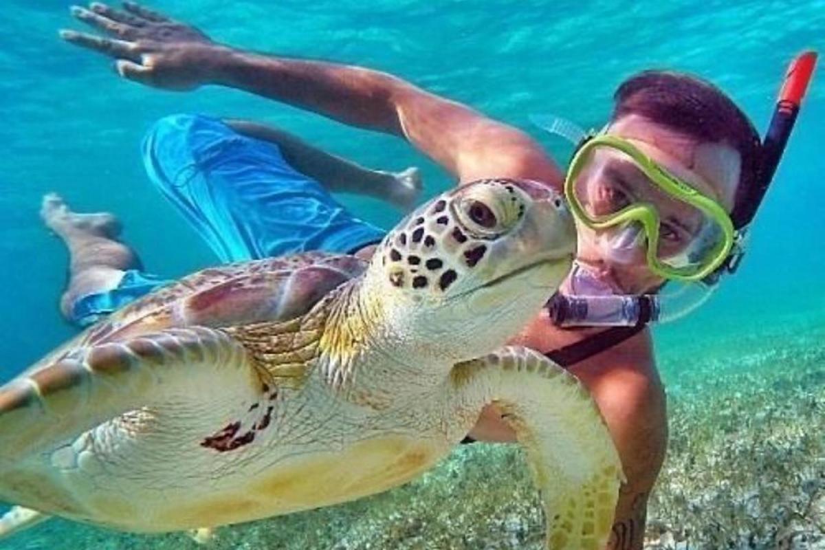 seorang lelaki sedang berenang dengan penyu di dalam air