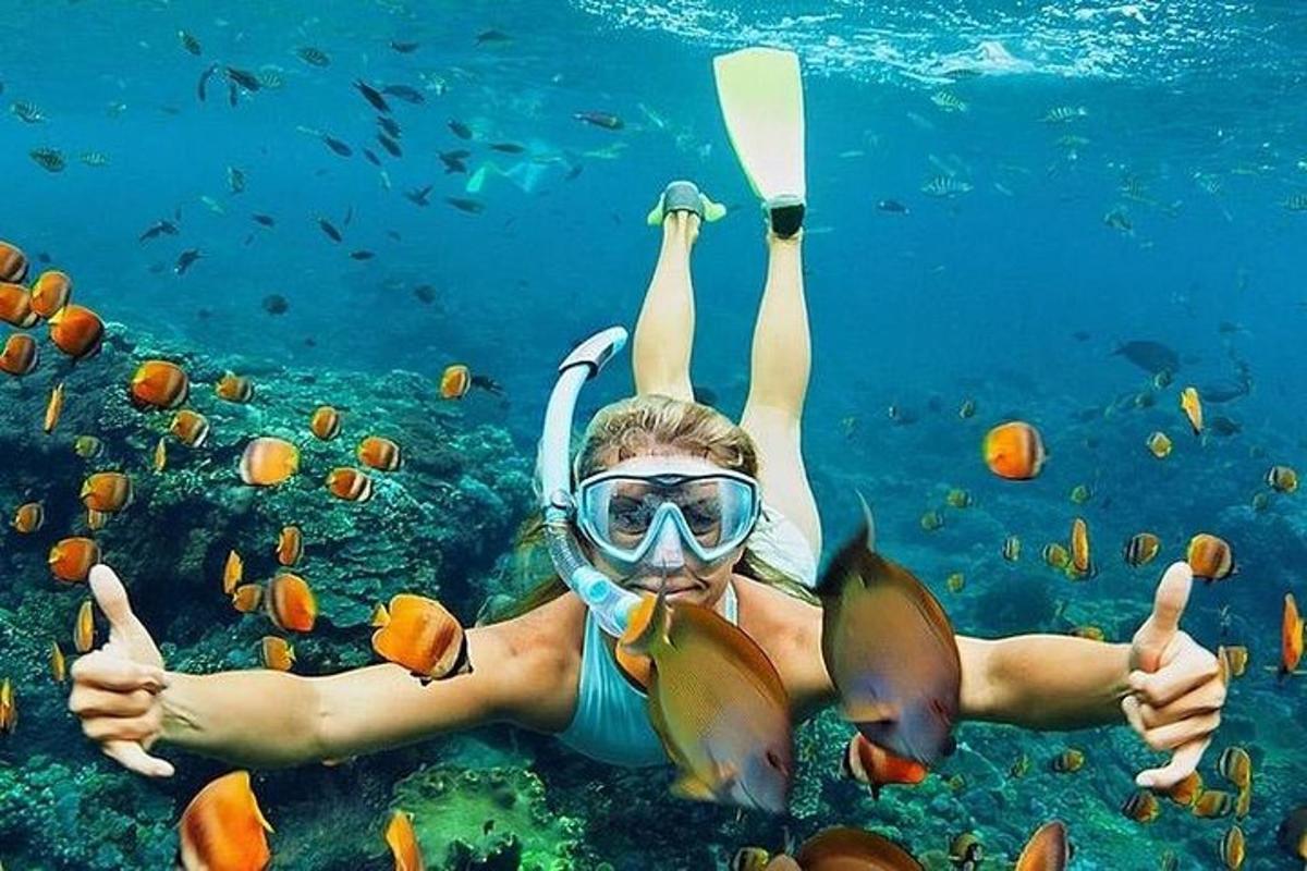 seorang wanita memberikan ibu jari sambil di bawah air dengan ikan