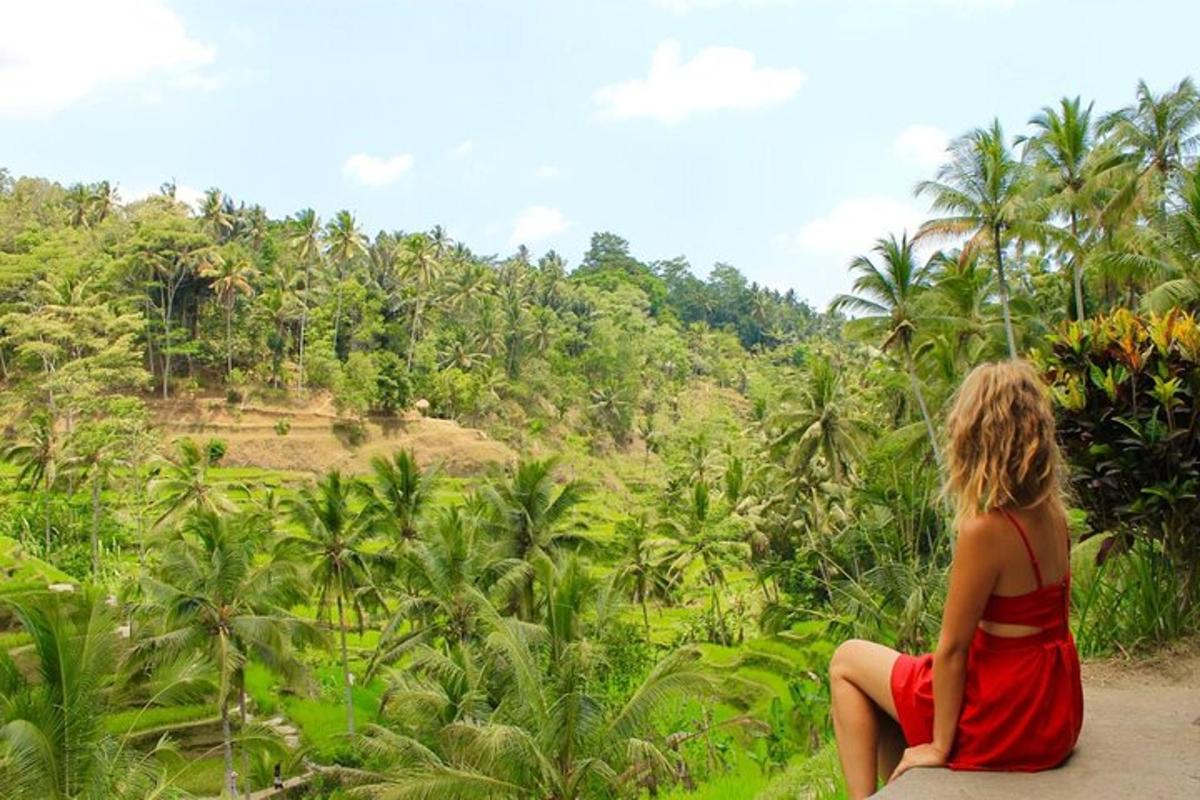 a woman sitting on a rock looking at a forest