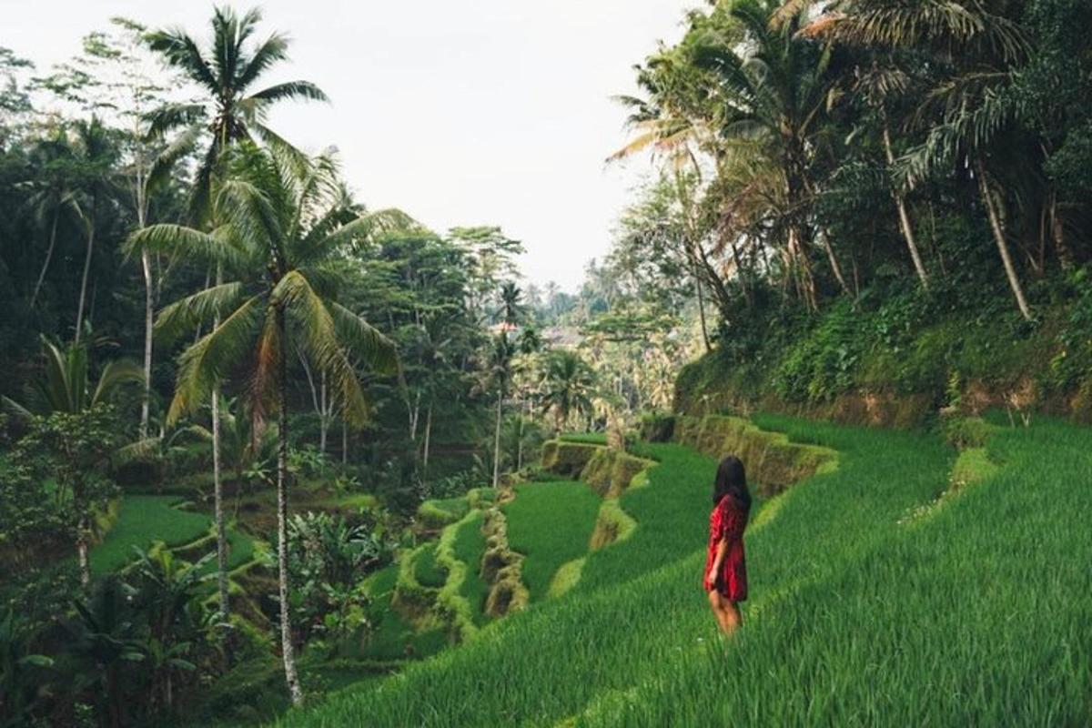 seorang wanita berjalan melalui padang rumput hijau
