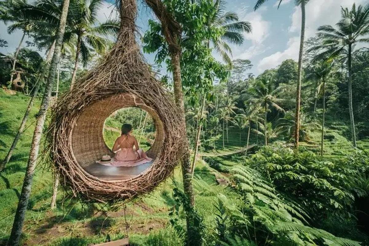 eine Frau, die in einem Nest sitzt, das an einem Baum hängt