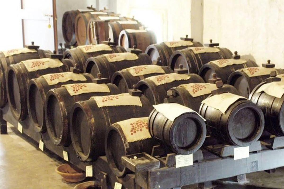 un mucchio di botti di vino sono allineate in una stanza
