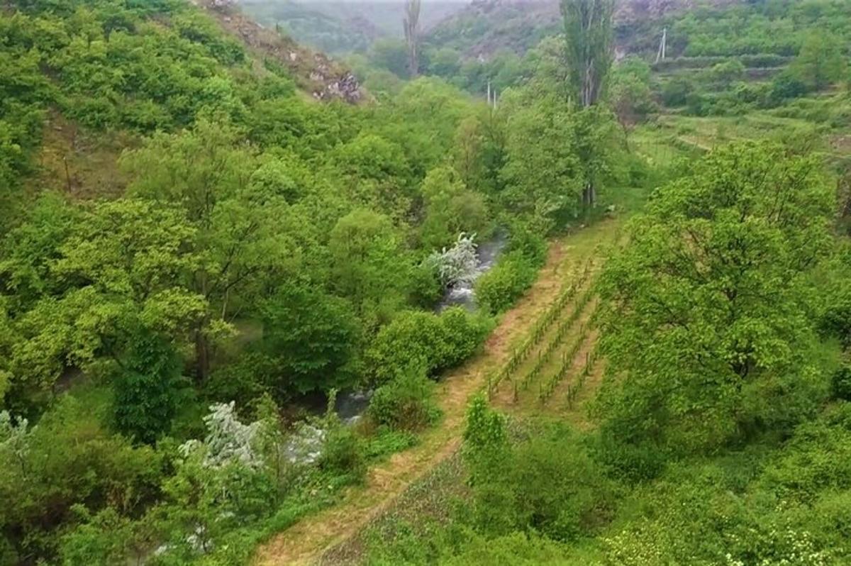 μια πανοραμική θέα ενός λόφου με δέντρα και ένα ποτάμι
