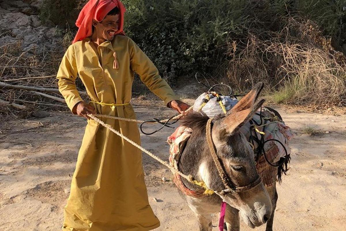 a woman is pulling a donkey on a rope
