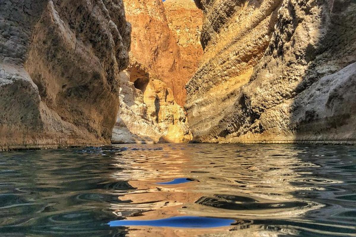 a group of whales swimming in the water in a canyon