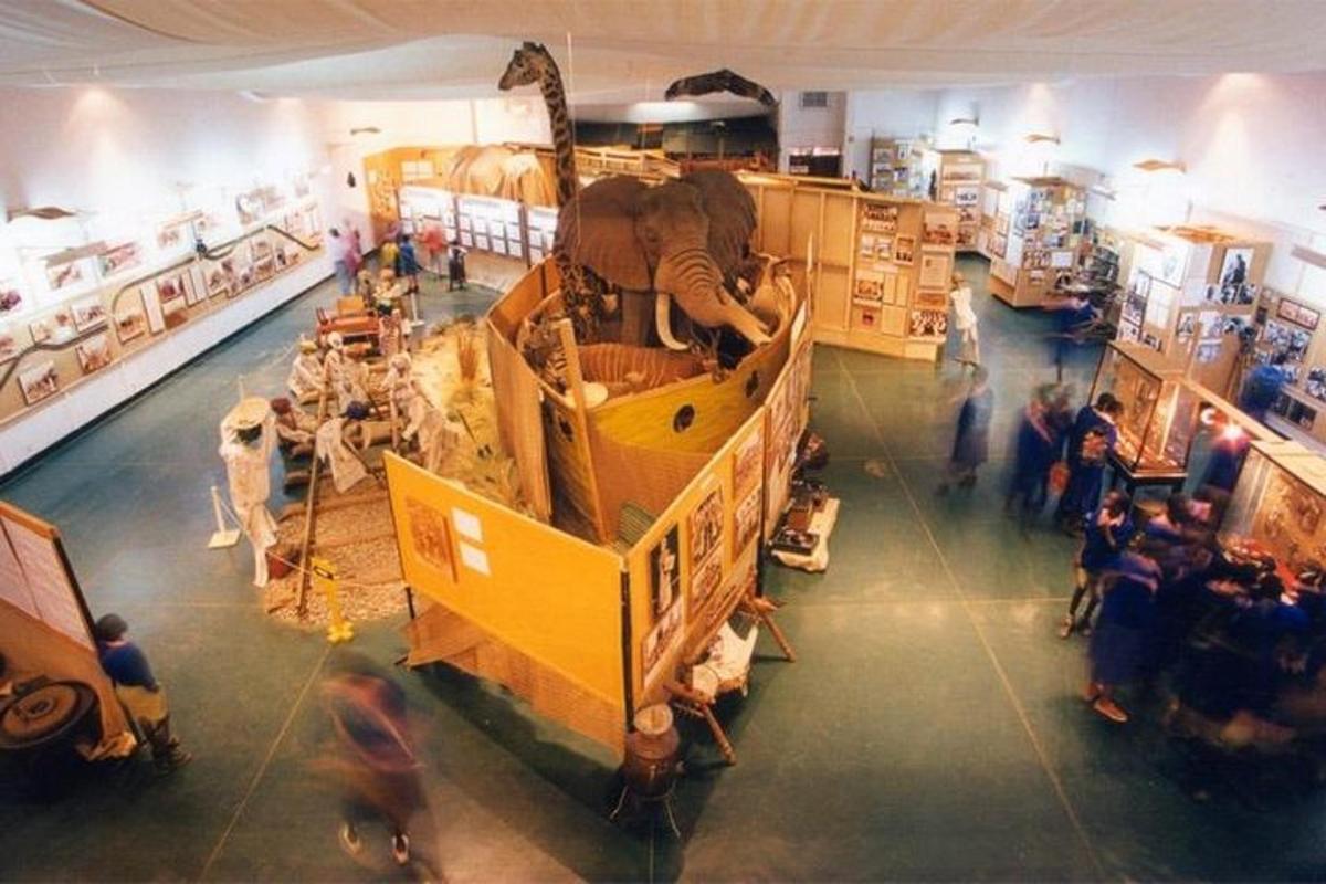 skupina lidí v muzeu s expozicí slonů
