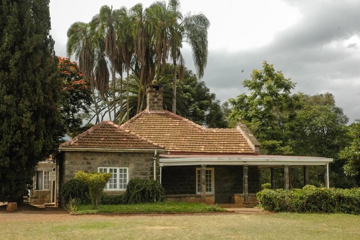una casa con una palmera encima