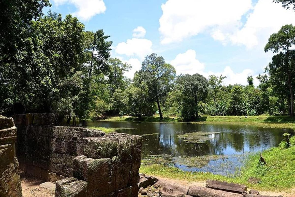 pemandangan kolam di taman dengan pepohonan