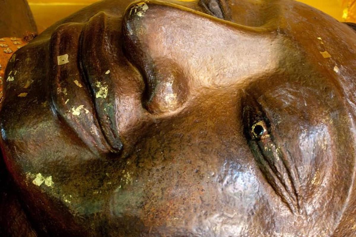 une statue en bronze d'une tête de cheval sur une table