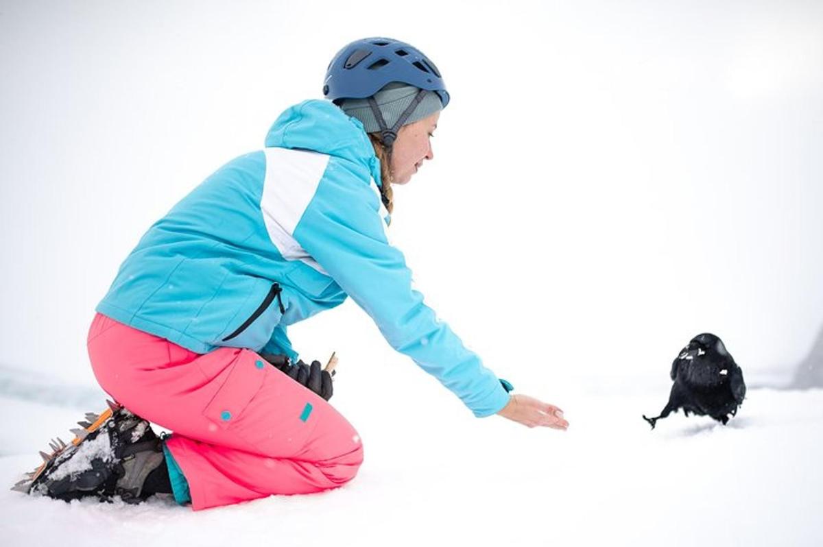 a girl is kneeling in the snow with a dog