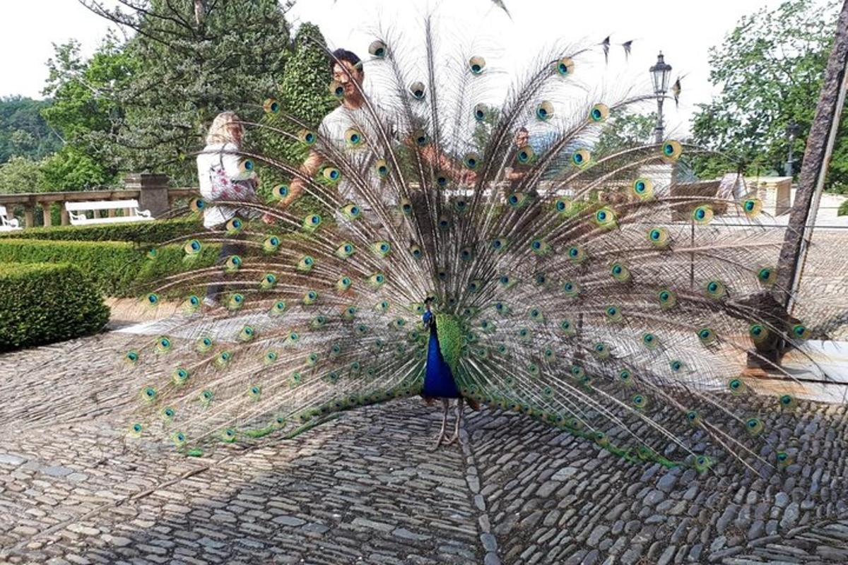 Fotografie atrakce č. 5