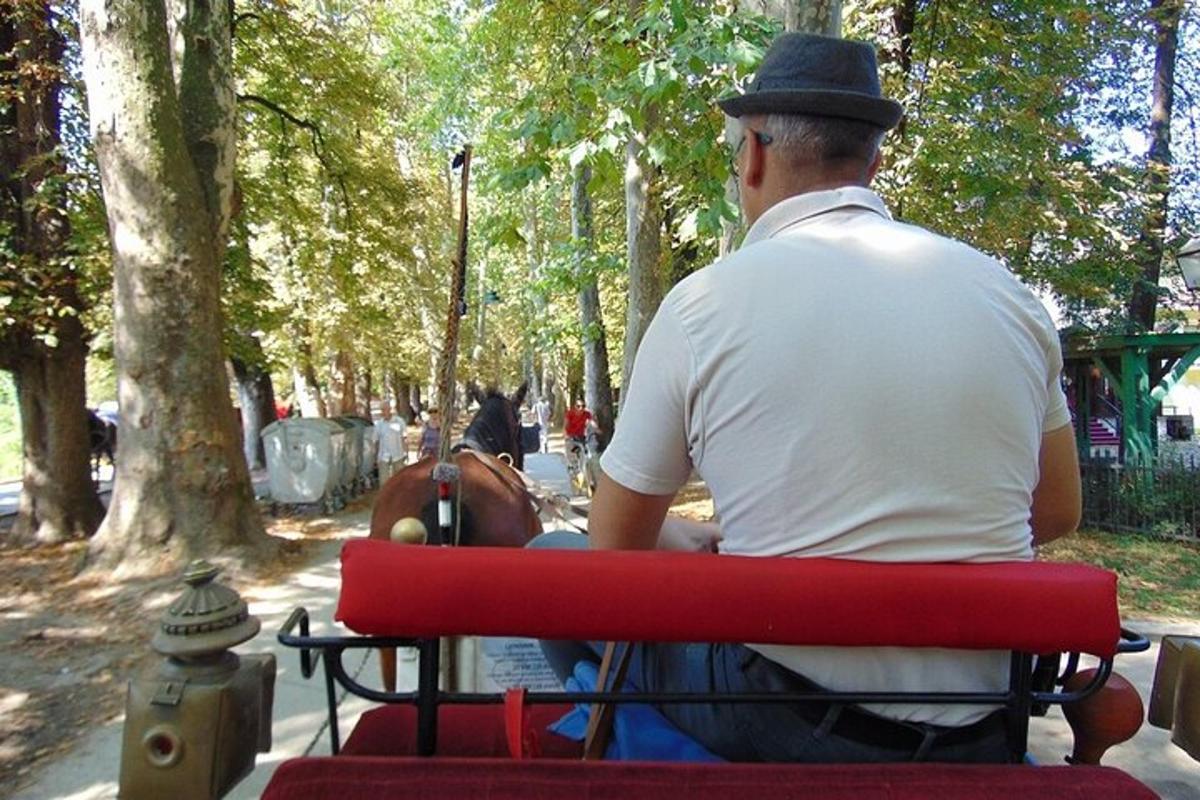 muž sedící na lavičce s koněm v parku
