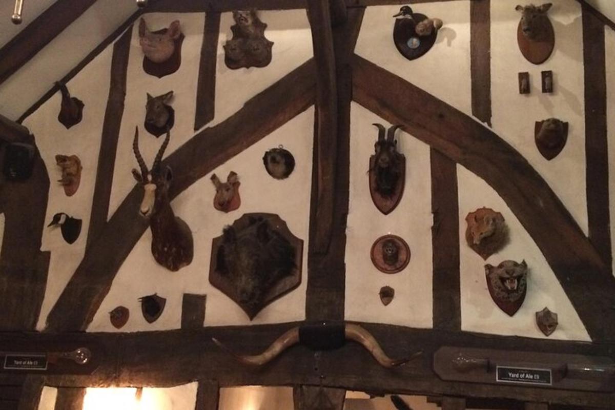 a clock on a wall with many different types of fossils