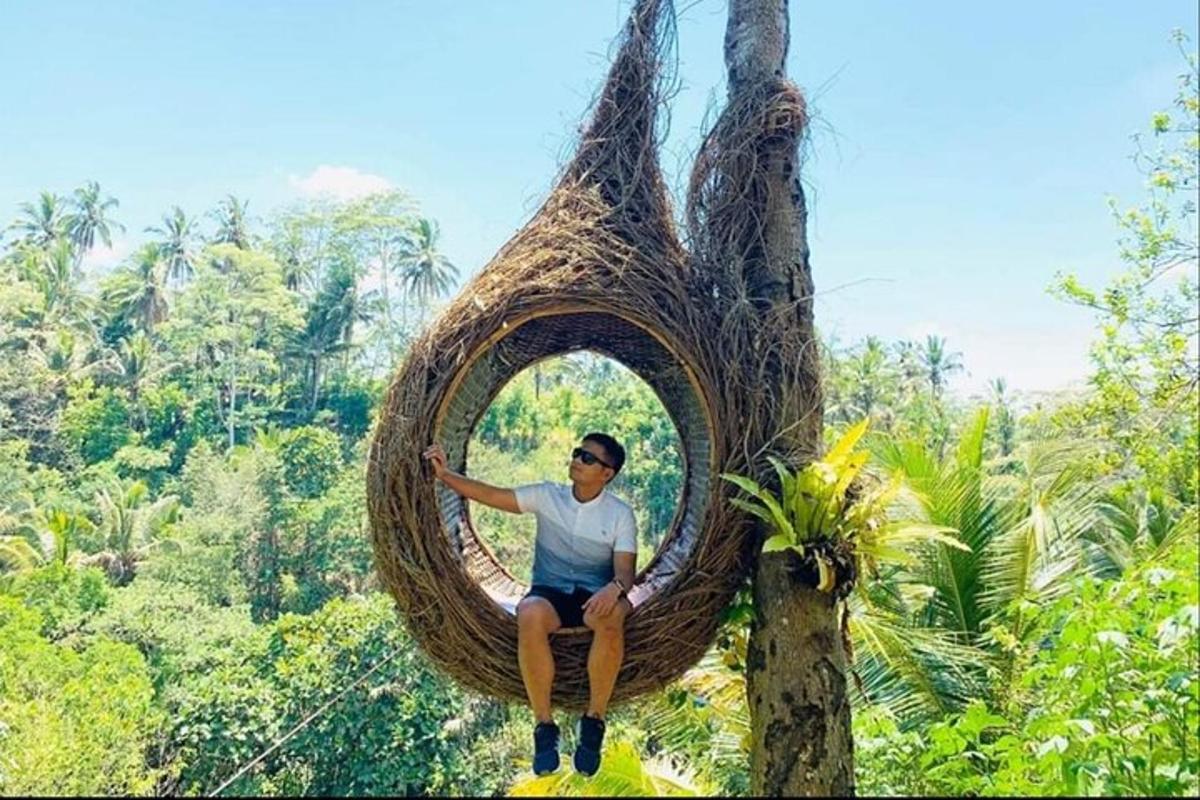 Un hombre sentado en una canasta colgante en un árbol.