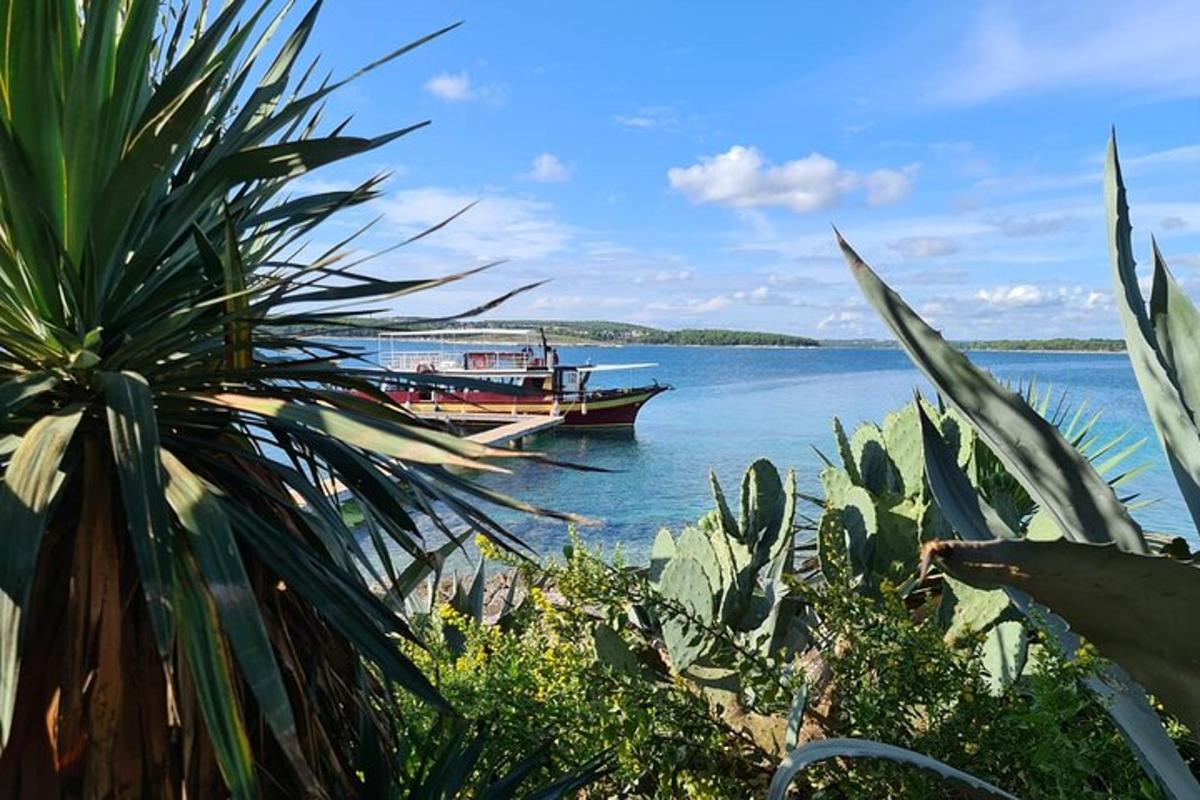 a boat on a body of water with a palm tree