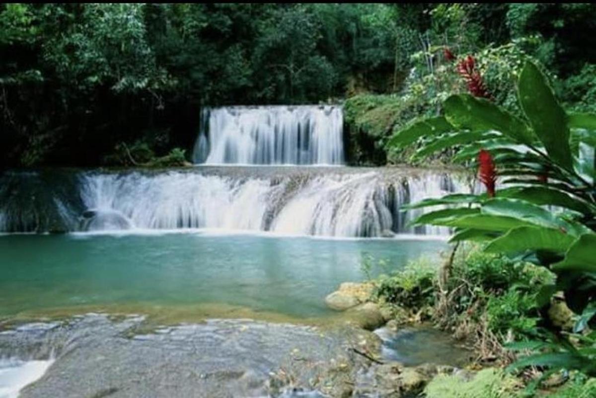 una cascada davant d'un estany d'aigua