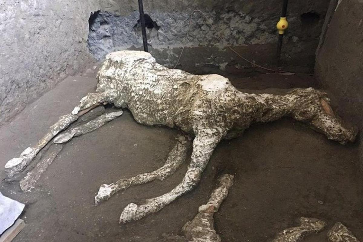 una statua di un cane sdraiato a terra