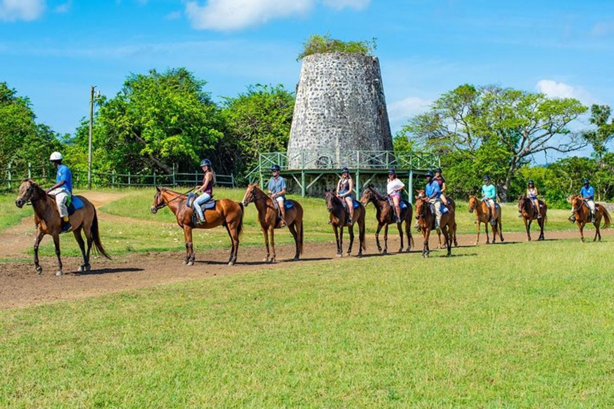 un grupo de personas montando a caballo en un campo