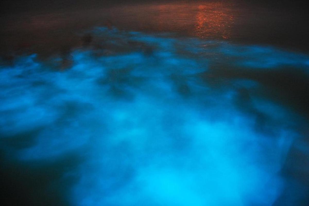 uma imagem borrada do oceano à noite