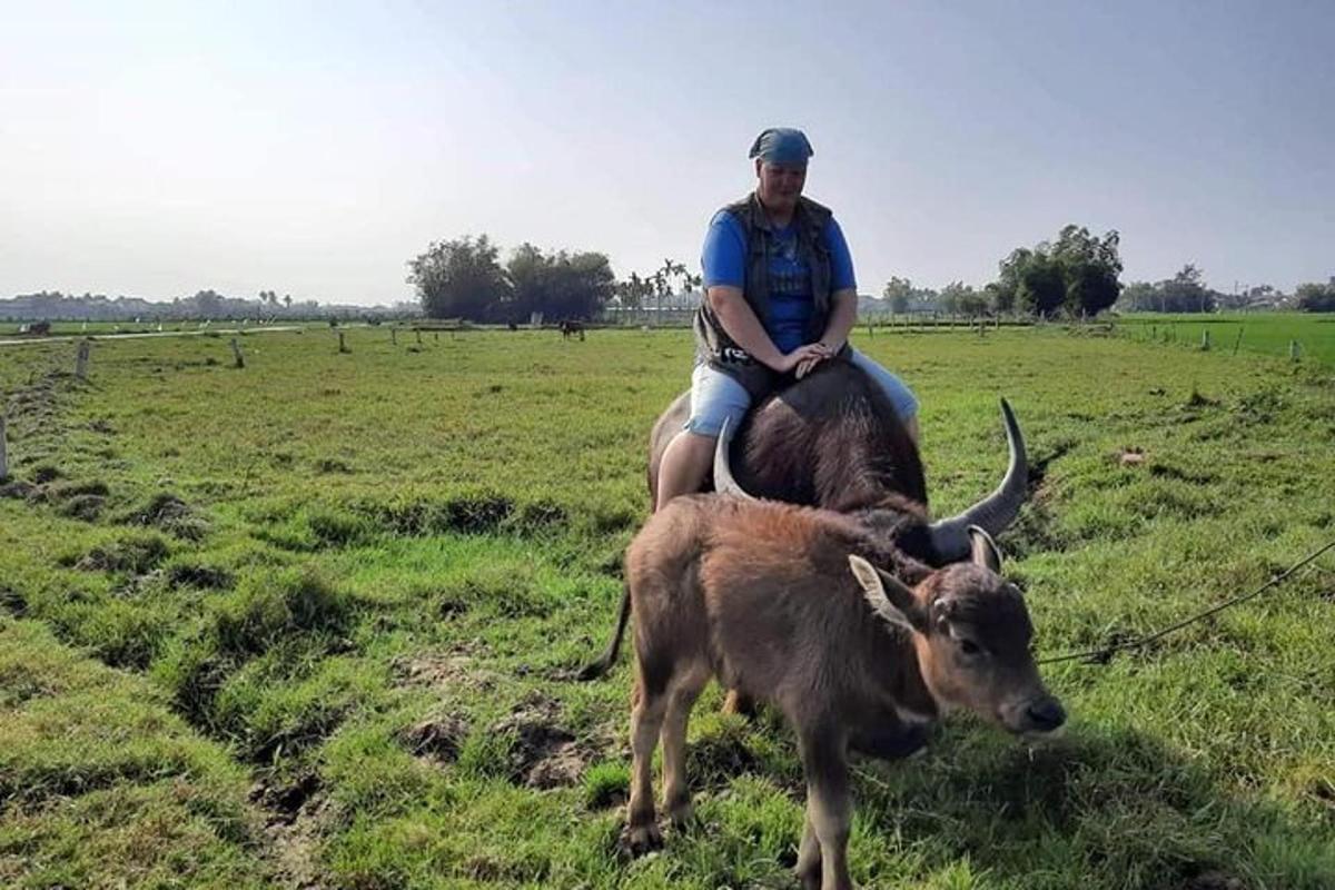 seorang lelaki menunggang kuda di sebelah anak lembu