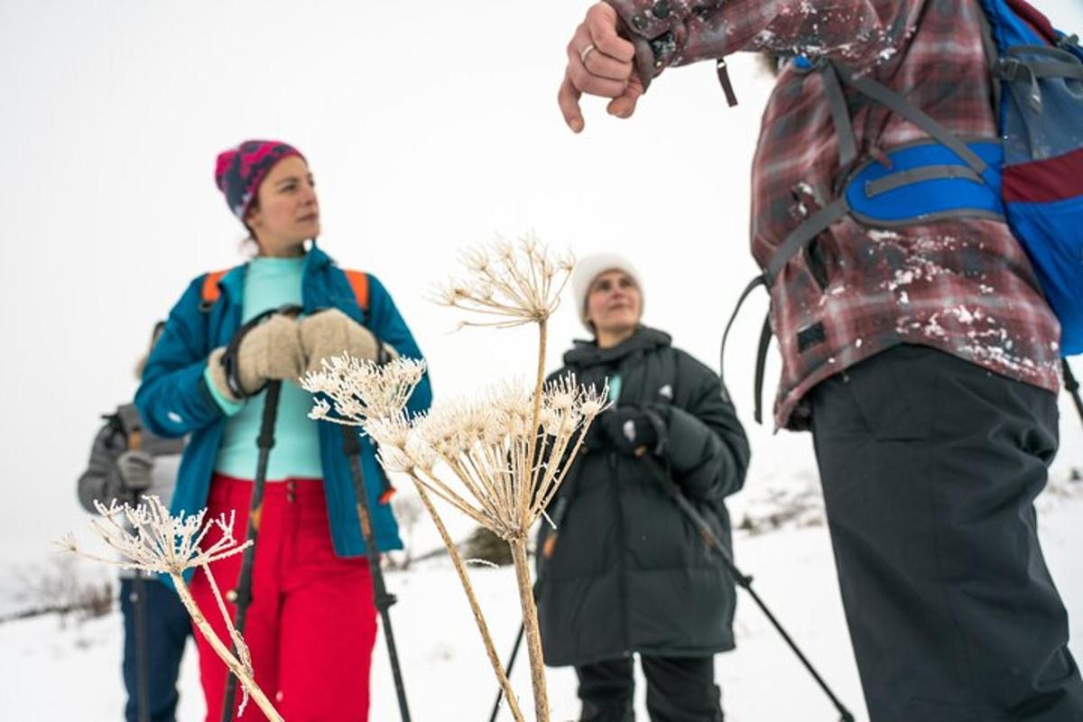 sekumpulan orang berdiri di atas salji dengan ski