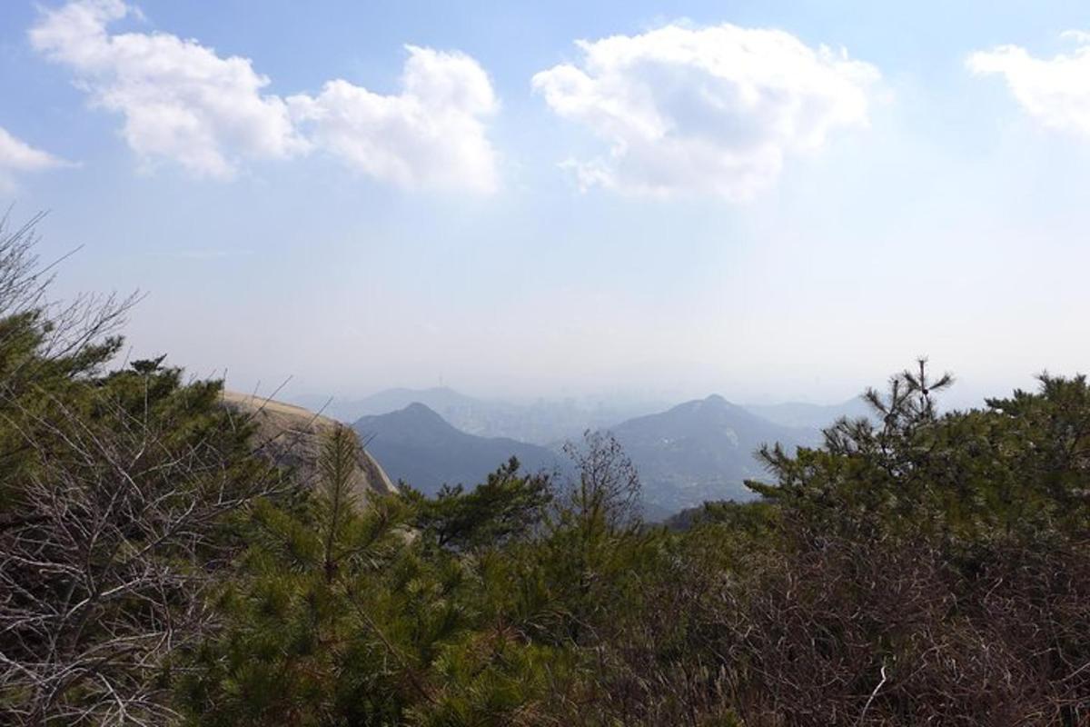 구름과 나무가 있는 산의 전망