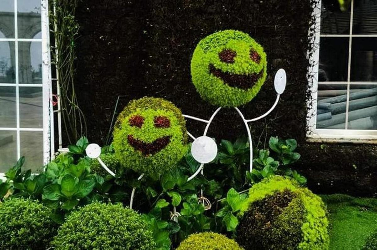 dois rostos feitos de plantas em um jardim
