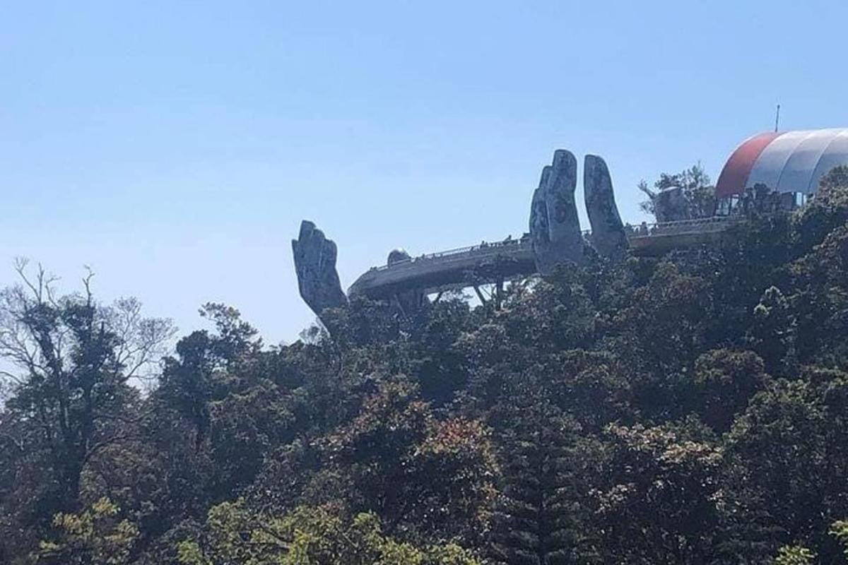 zábavní park s horskou dráhou ve stromech