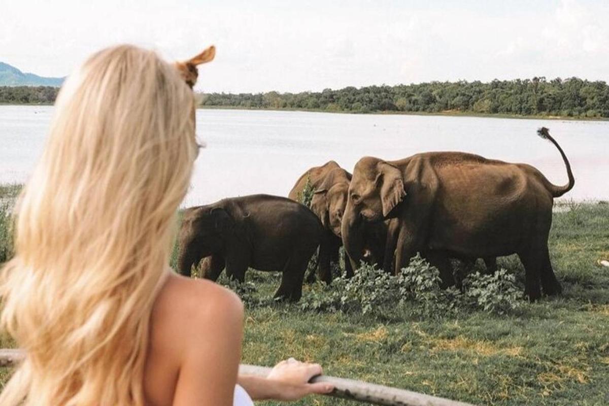a woman is looking at a herd of elephants