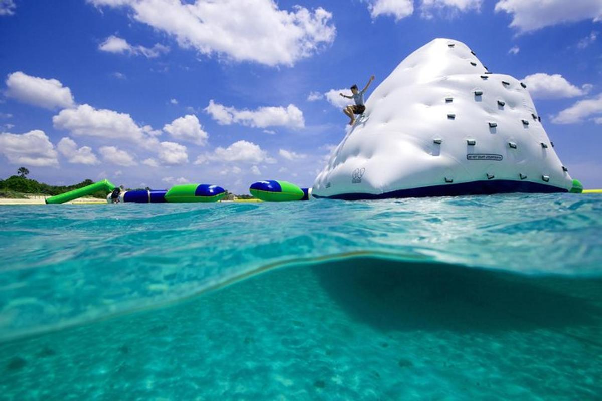 an object in the water on a beach
