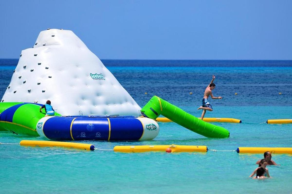a group of people playing in the water on a beach