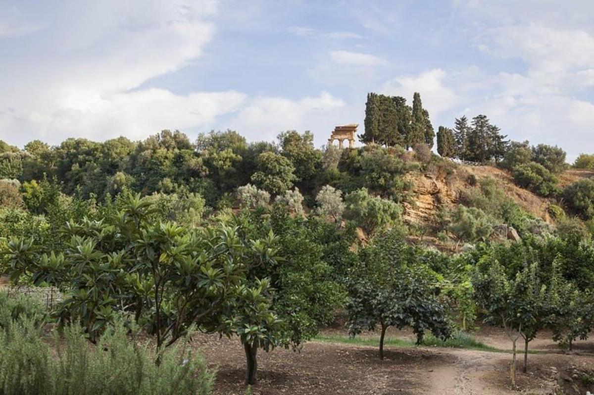 uma casa no topo de uma colina com árvores