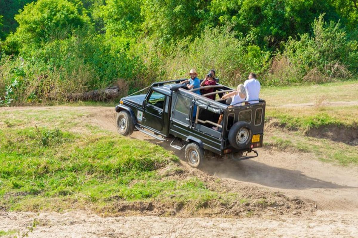 група людей, що їдуть на задньому сидінні джипа