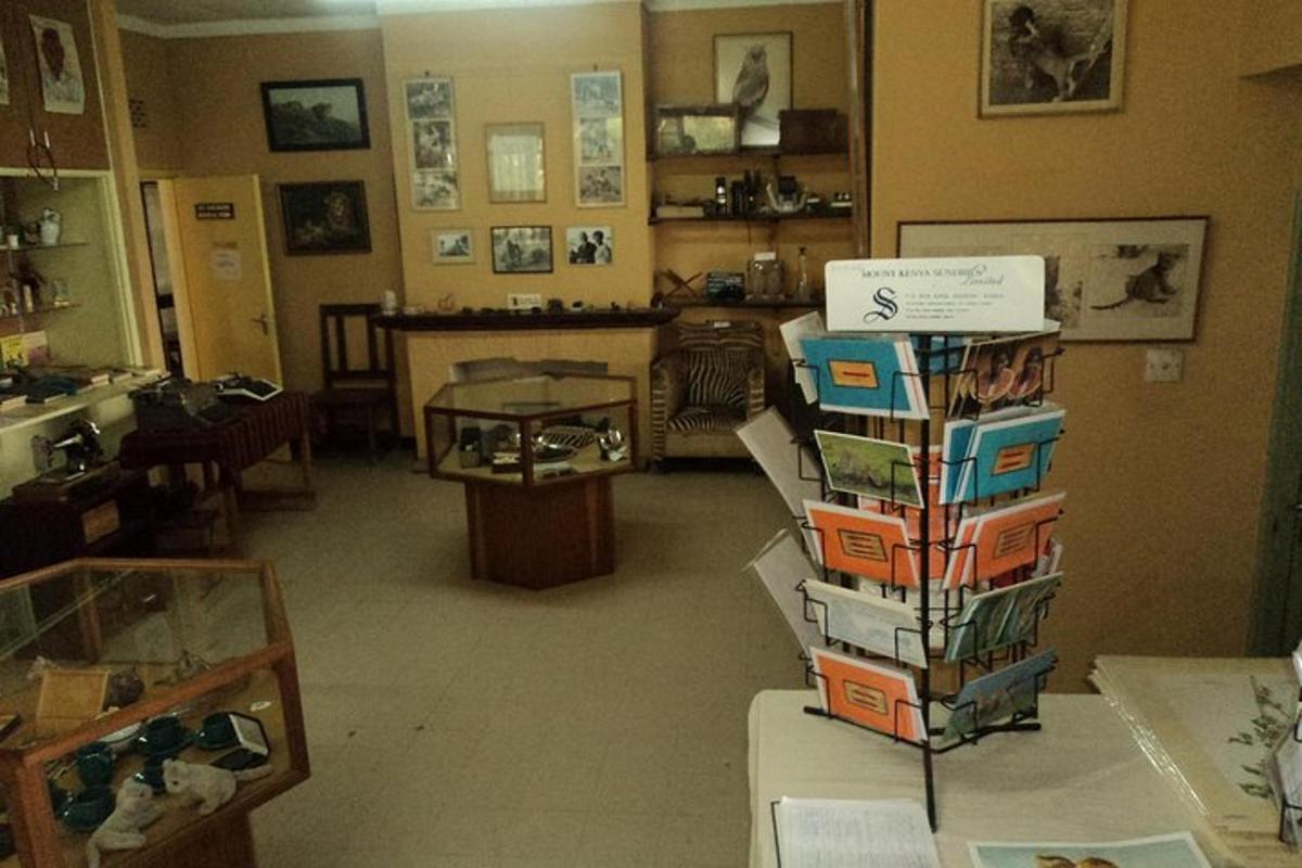una habitación con una pila de cajas en una tienda