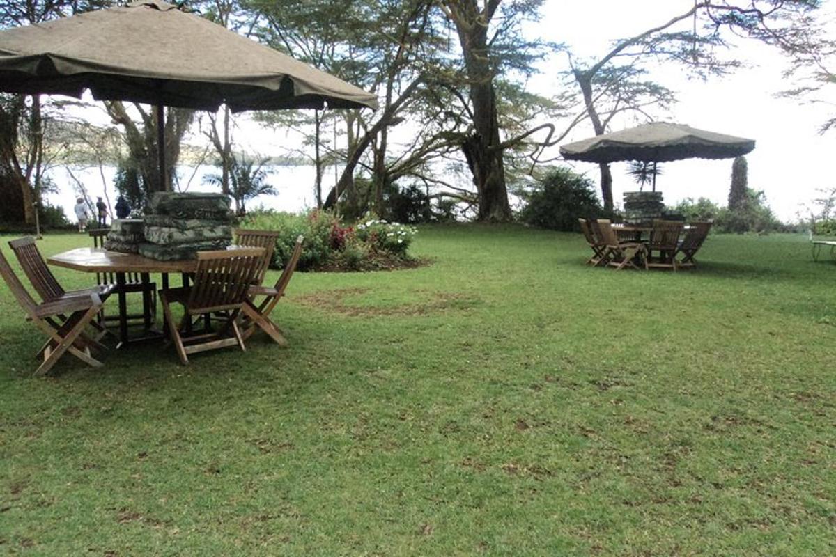 uma mesa e cadeiras com um guarda-chuva em um quintal