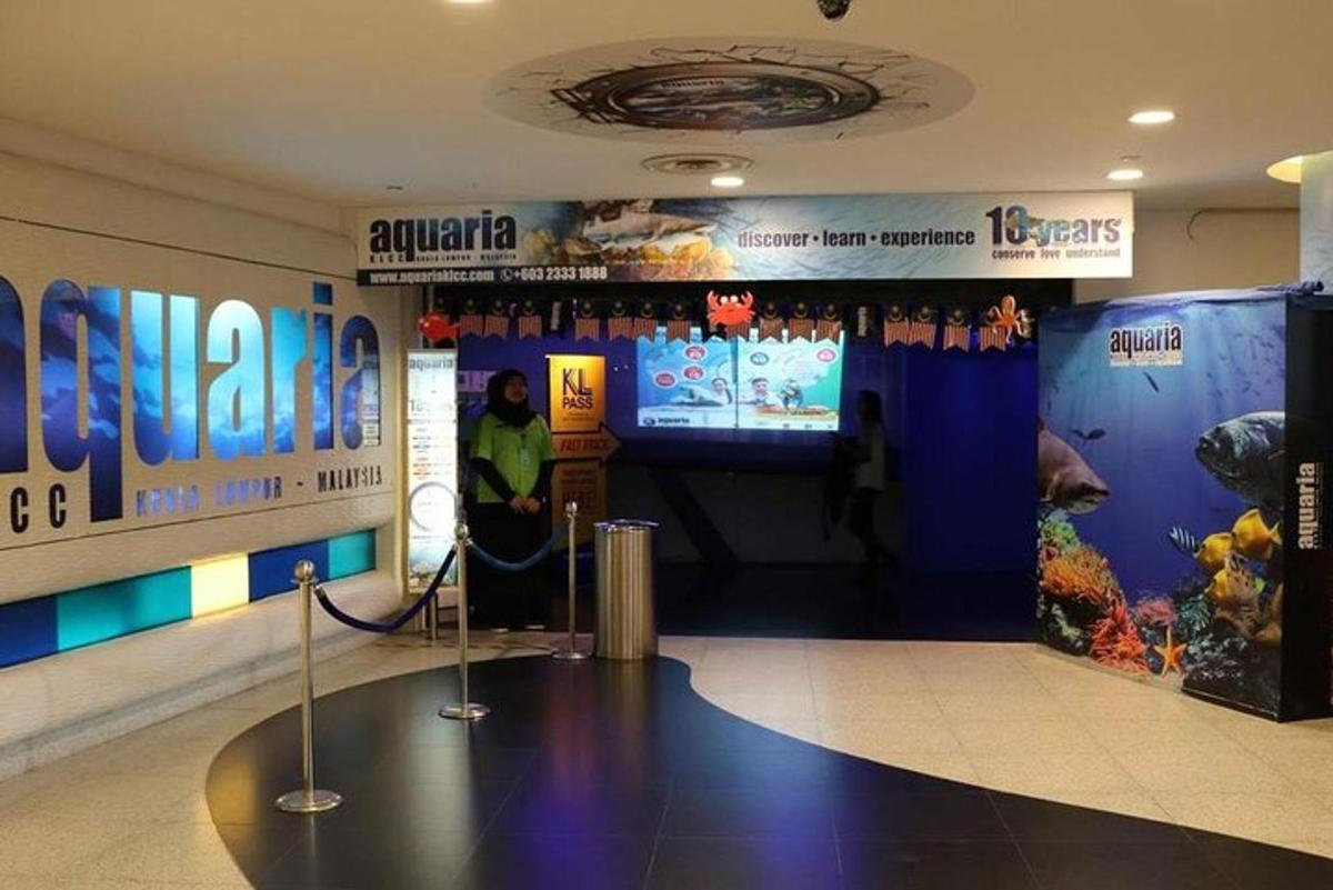 Attraction picture 7