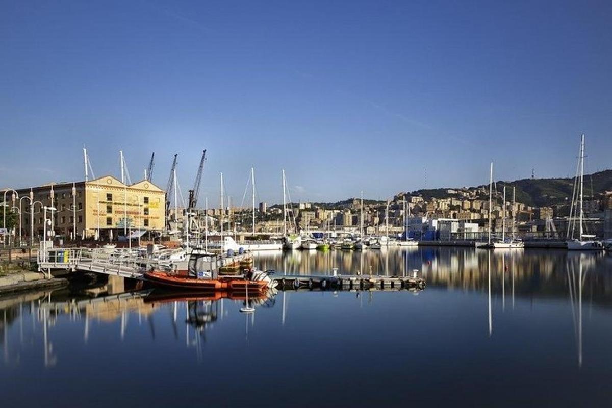 a marina with a bunch of boats in the water