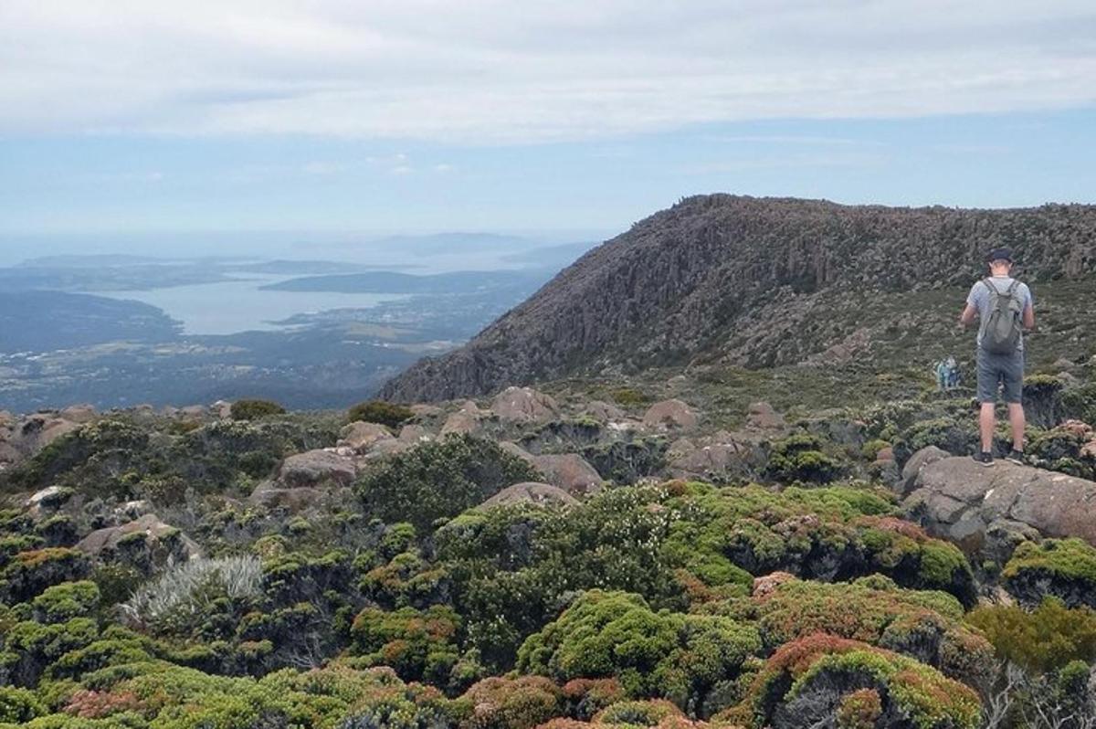 seorang lelaki berdiri di atas gunung