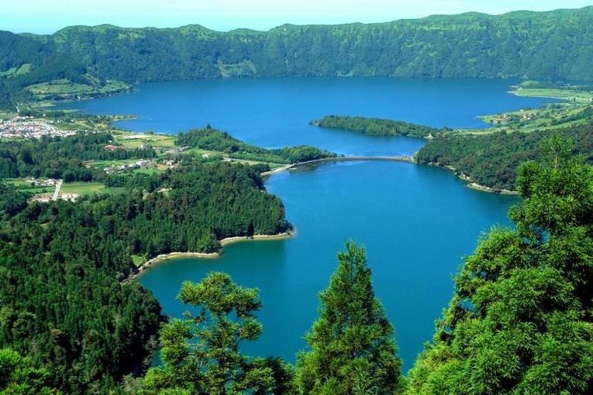 una vista aerea di un lago con alberi