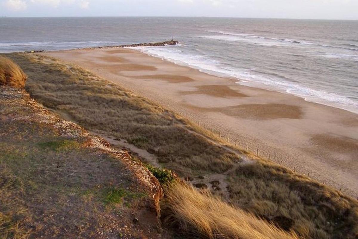 a sandy beach with the ocean in the background
