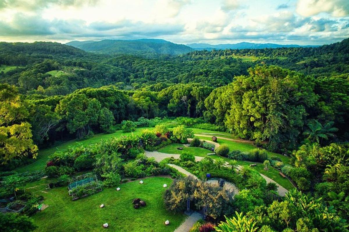 an aerial view of a park with trees and grass