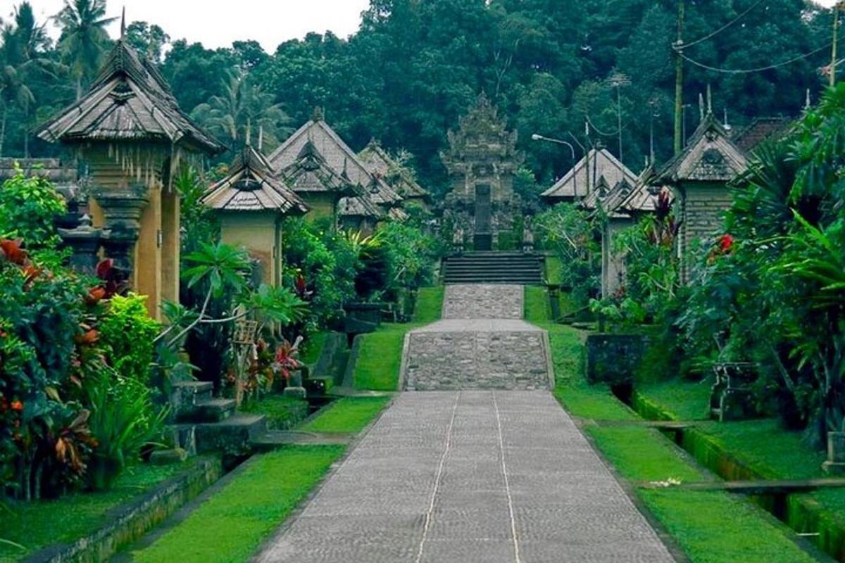 một con đường xuyên qua một khu vườn có nhà cửa và cây cối
