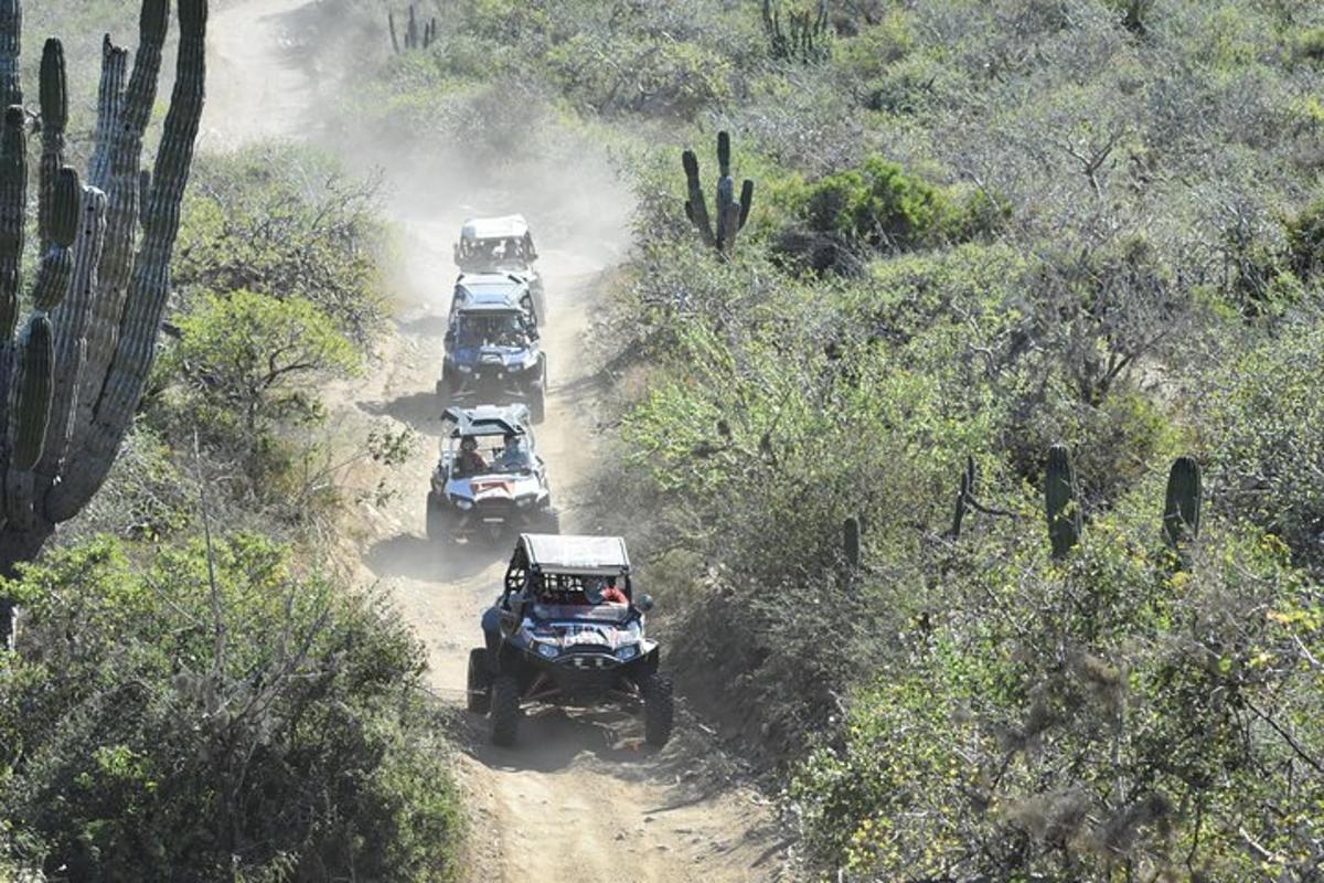 eine Gruppe von drei Jeeps, die eine unbefestigte Straße entlangfahren