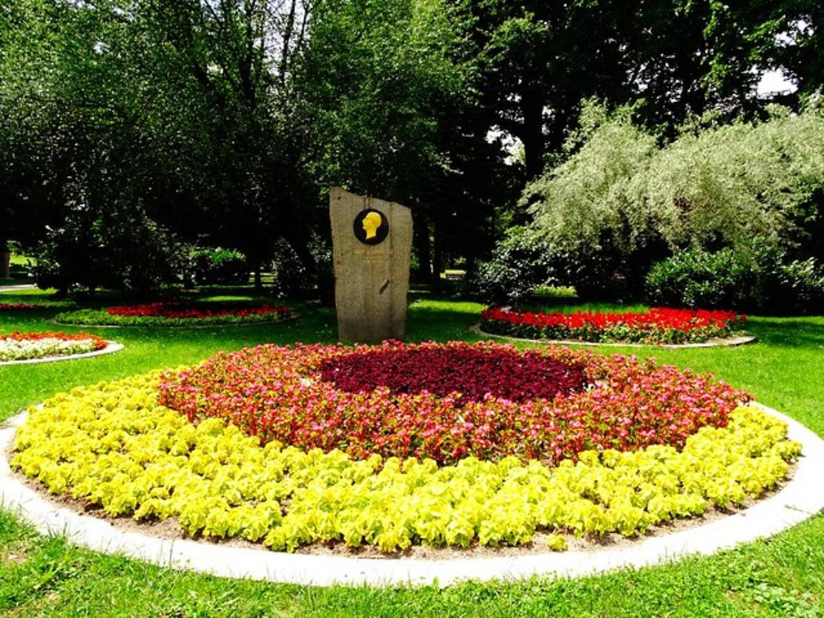 un rellotge de flors al mig d'un camp de flors