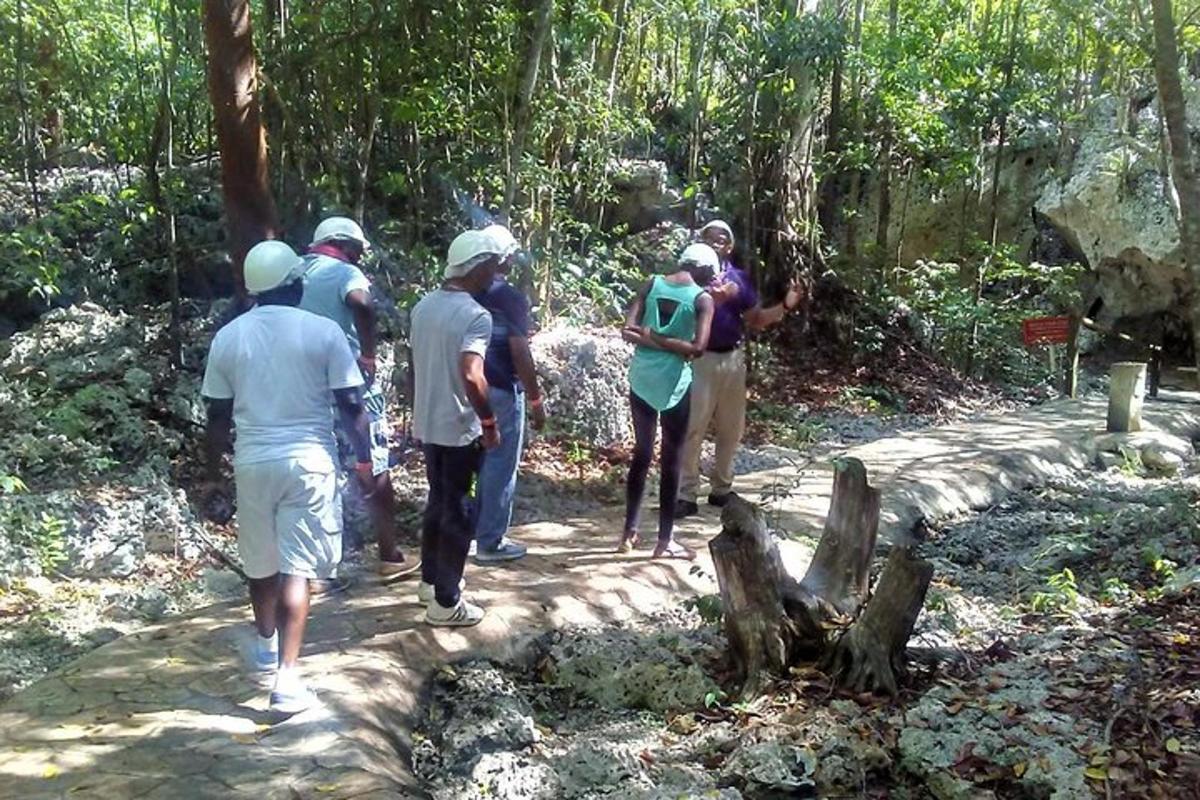 um grupo de pessoas caminhando em uma trilha na floresta